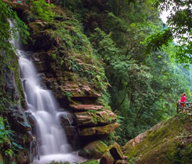 碧峰峽、上里古鎮(zhèn)二日游
