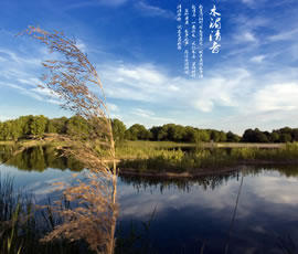 新義水鄉(xiāng)中醫(yī)藥浴康養(yǎng)、黃龍溪古鎮(zhèn)二日游