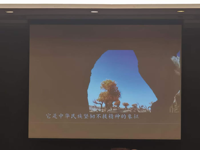 綿陽中旅行假日旅行社舉行胡楊林、南疆專列推薦會(huì)