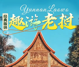 【趣游老撾 · 經(jīng)典版納】—昆明、普洱、西雙版納、磨丁、瑯勃拉邦四動8日游